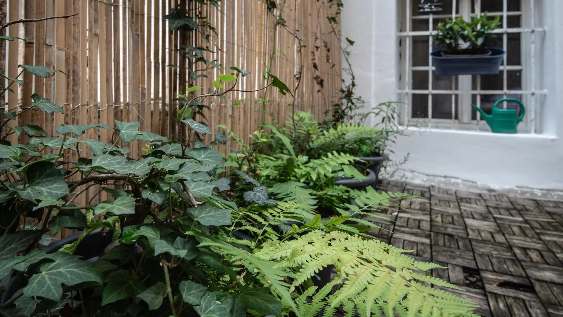Charles Bridge Hostel & Apartments Прага 0*,  Чехия